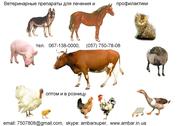 Ветеринарные препараты для лечения и профилактики болезней у животных